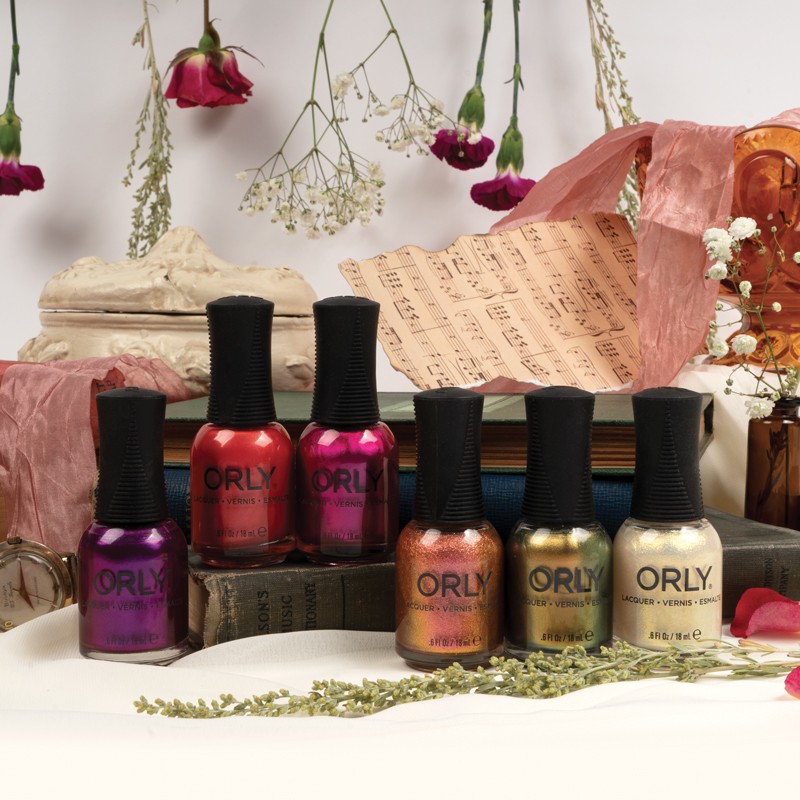 Momentary-Wonders-Beauty Momentary-Wonders-Beauty